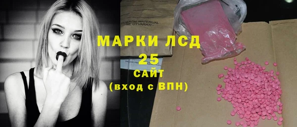 СК Алексин