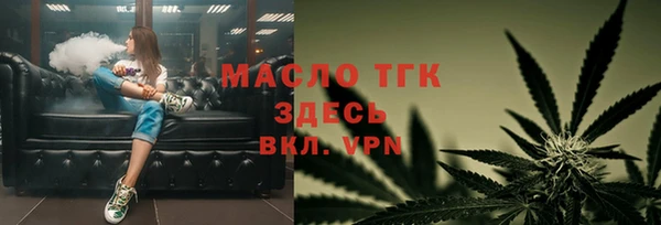 СК Алексин