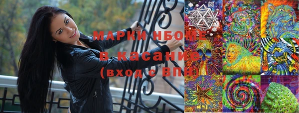 ГАЛЛЮЦИНОГЕННЫЕ ГРИБЫ Алзамай