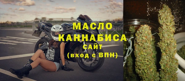 СК Алексин