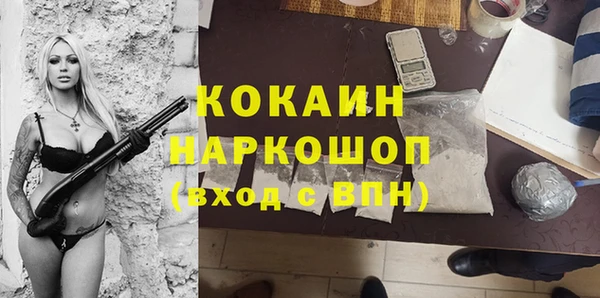 СК Алексин