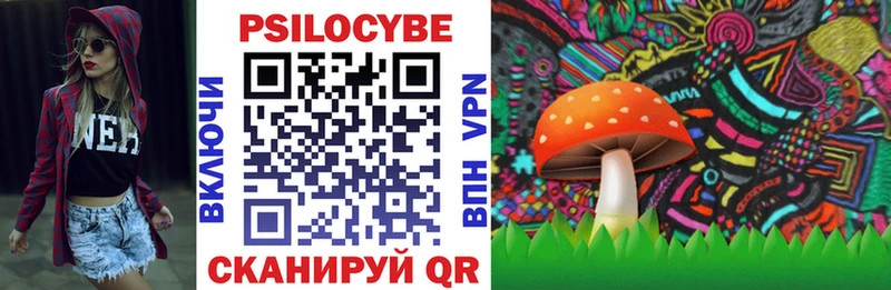 дарк нет клад  Баймак  Галлюциногенные грибы прущие грибы 